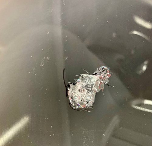 photo_2021-08-04_12-40-45